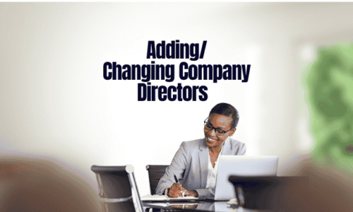 How to Change a Company Director(S) Without any CAC Agent in Nigeria